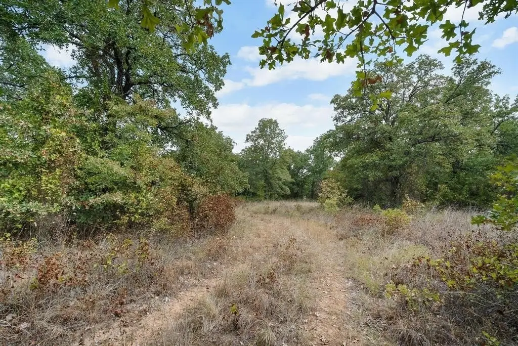 Picture 20