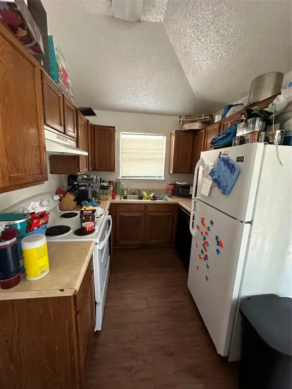 Picture 19