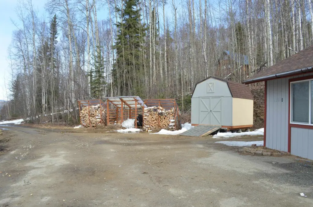 Picture 5