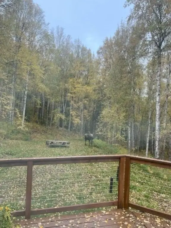 Picture 48