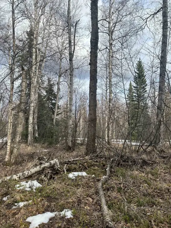 Picture 2
