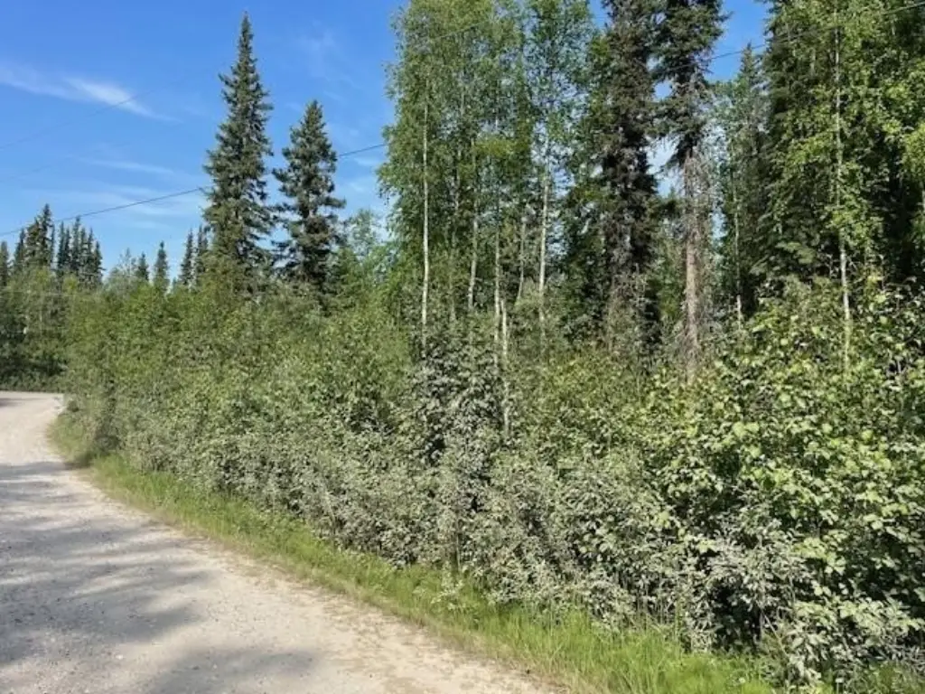 Picture 4