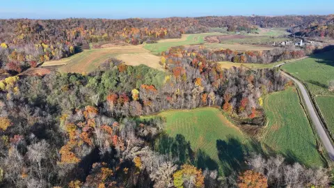 Productive Land with Hunting Potential