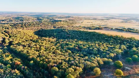 40 Acres of Oklahoma Hunting Land