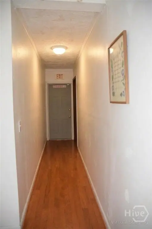Picture 11