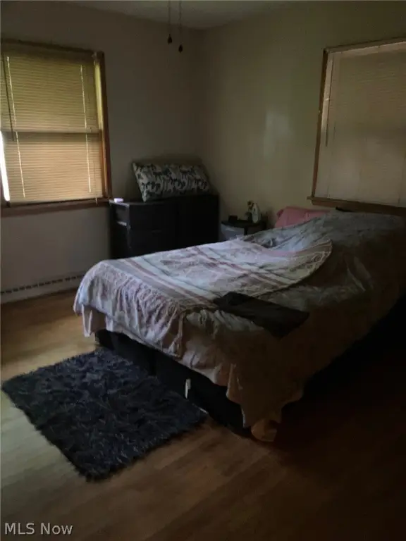 Picture 12