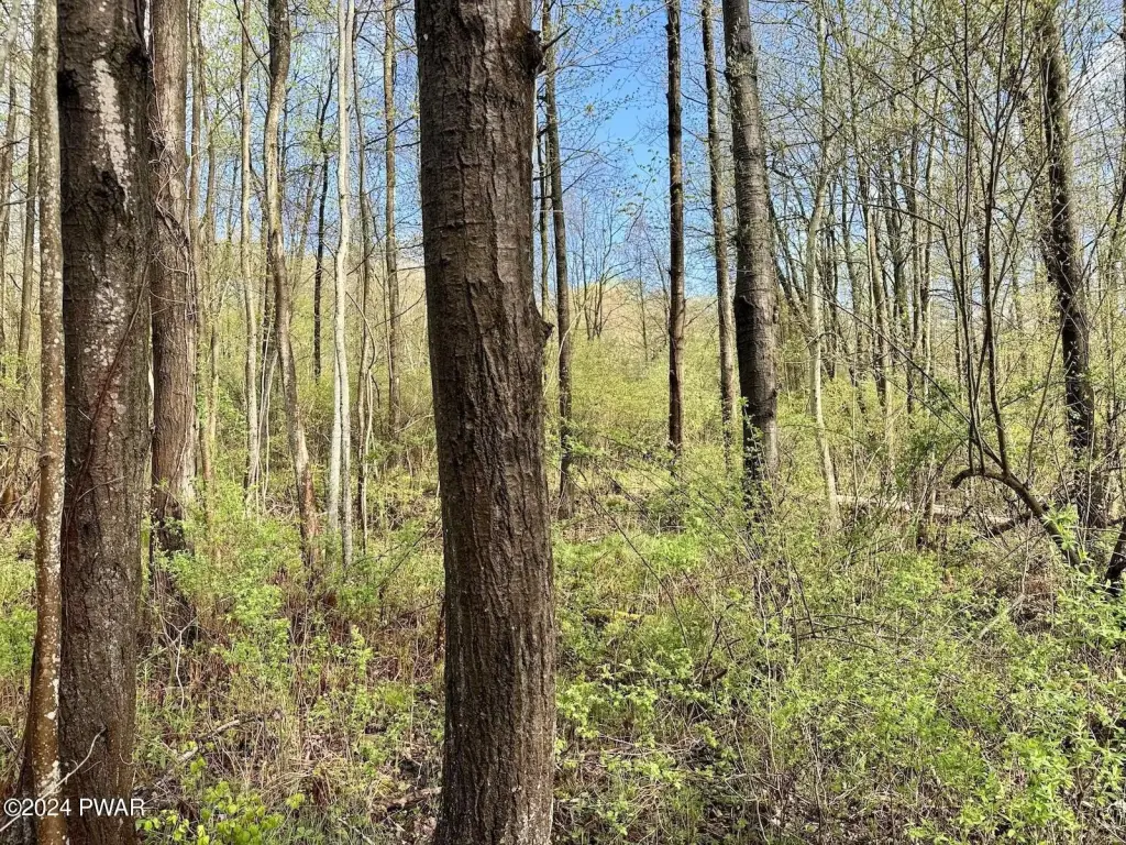 Picture 14