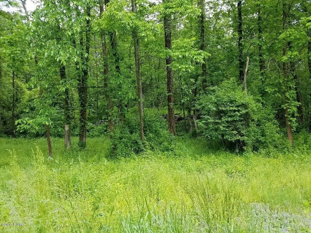 Picture 12