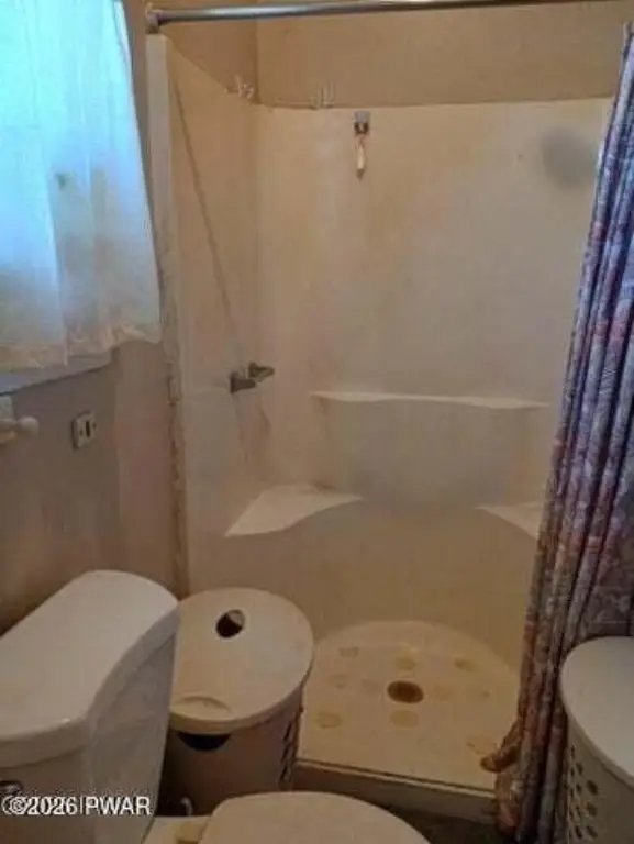Picture 31