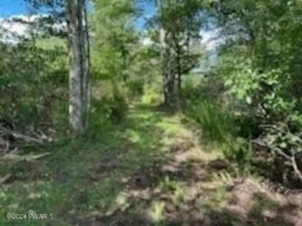 Picture 4