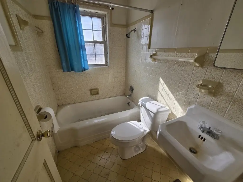 Picture 12