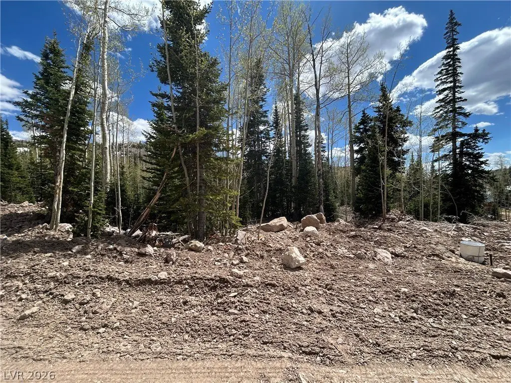 Picture 4