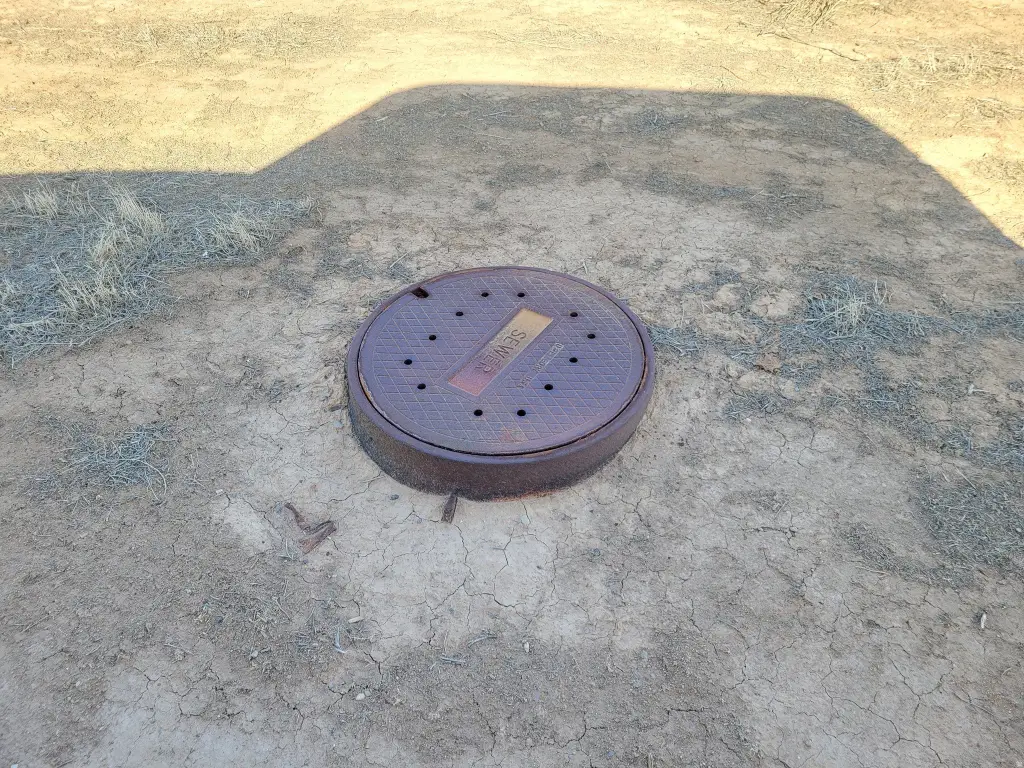Picture 6