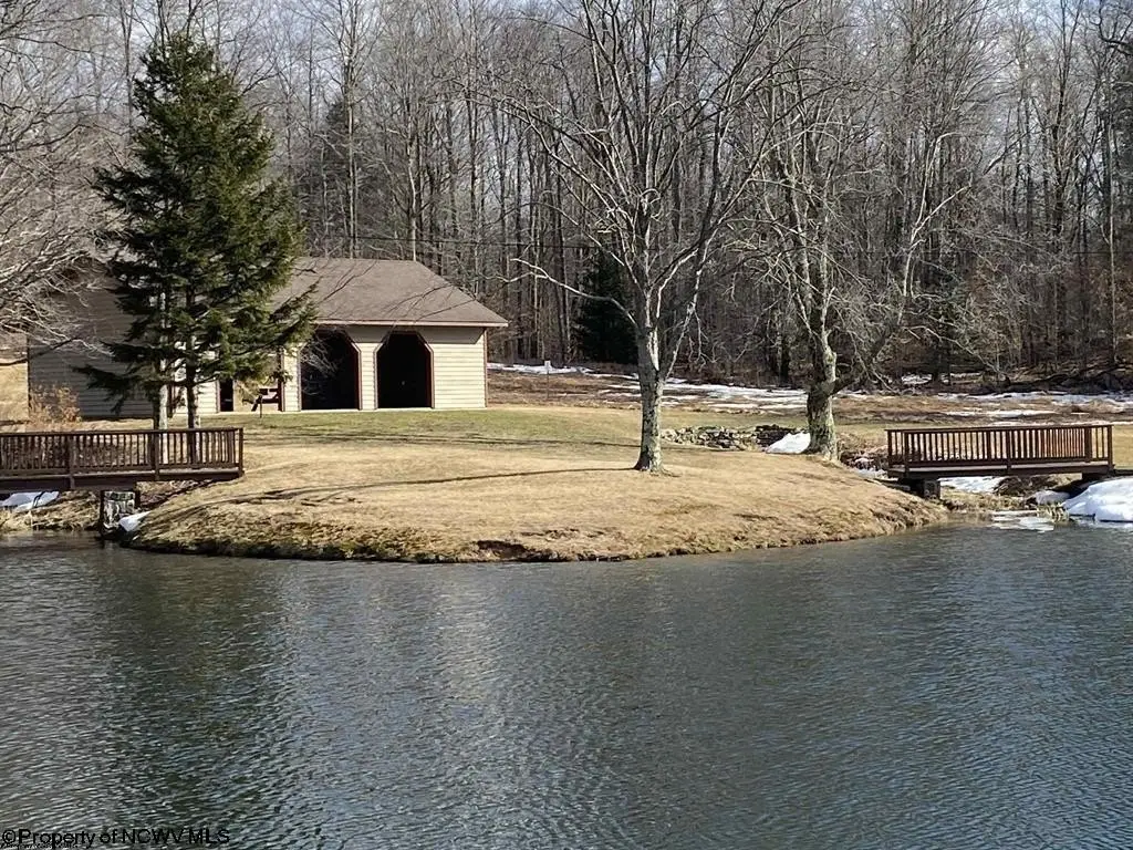 Picture 6