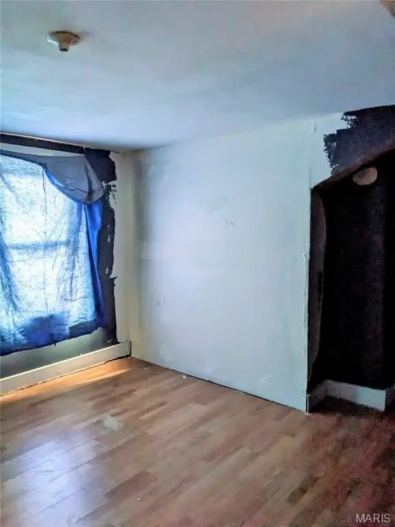 Picture 21