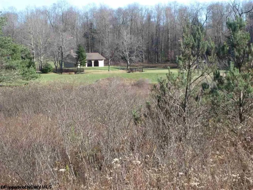 Picture 6