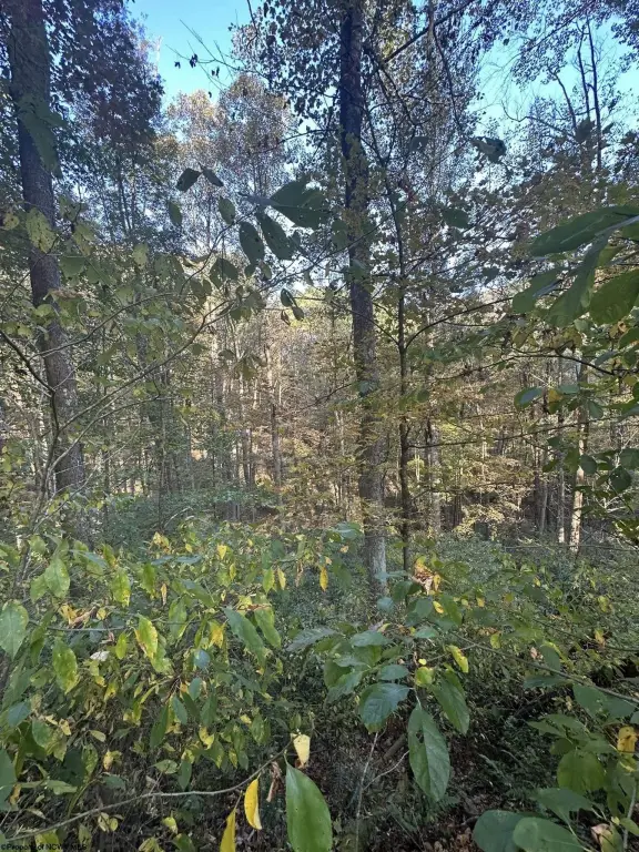 Picture 17