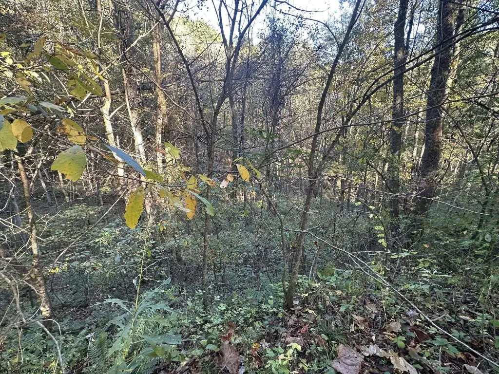 Picture 2