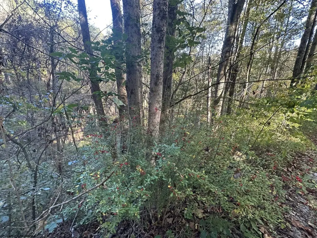 Picture 13