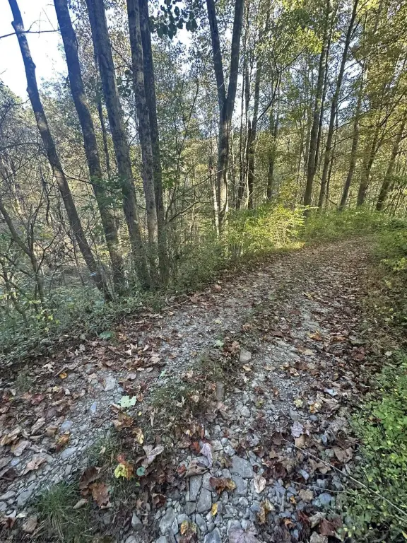 Picture 4