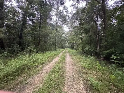 Residential Lot in Wewahitchka, FL