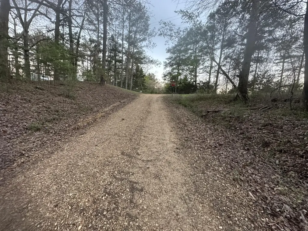 Picture 10