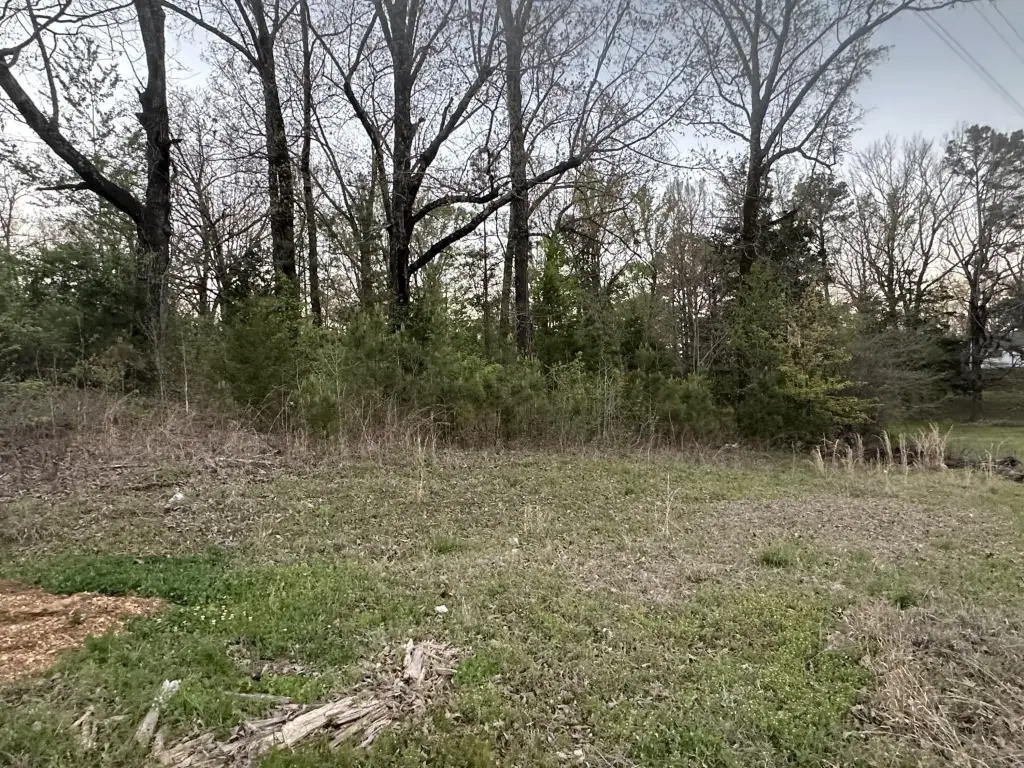 Picture 6
