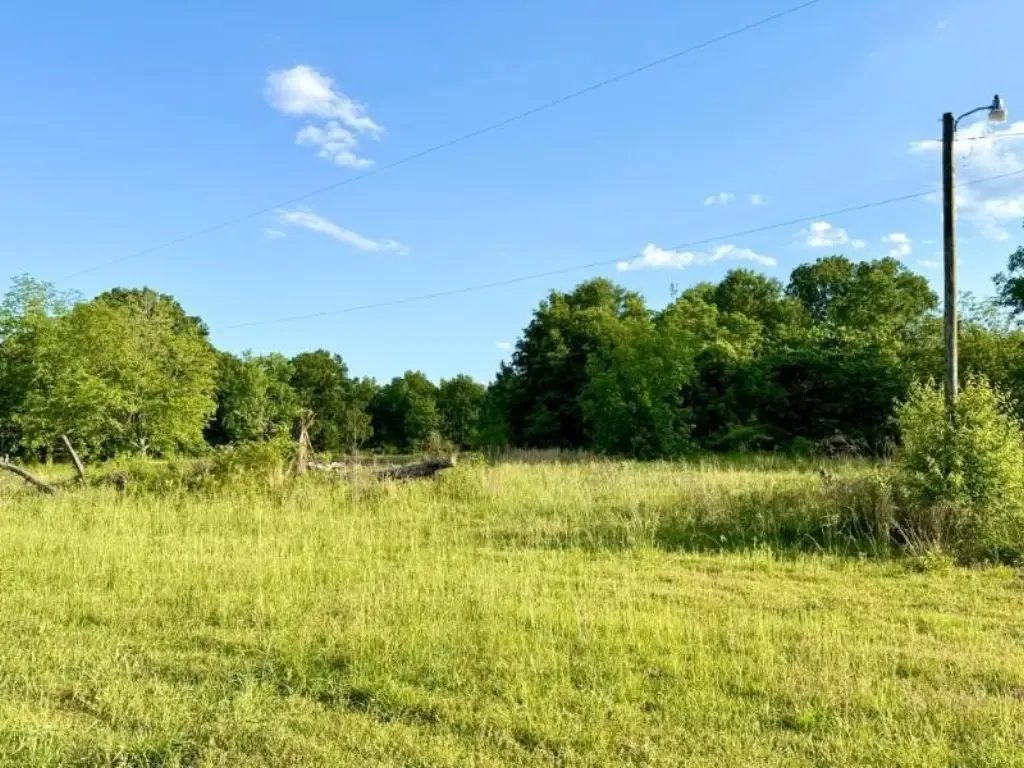 Picture 7