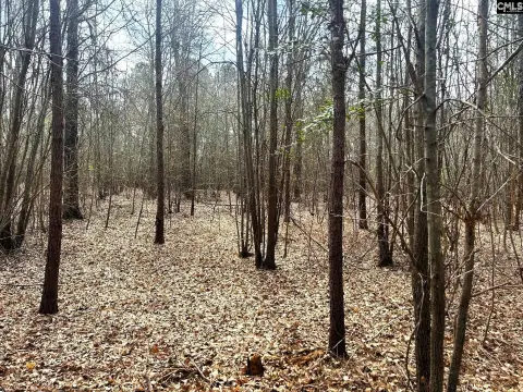 Acreage in Little Mountain, SC