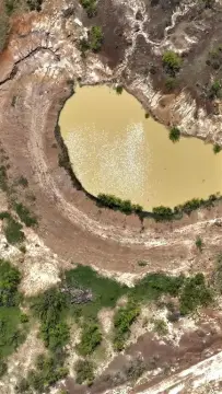 Jacksboro Wildlife Exempt Land