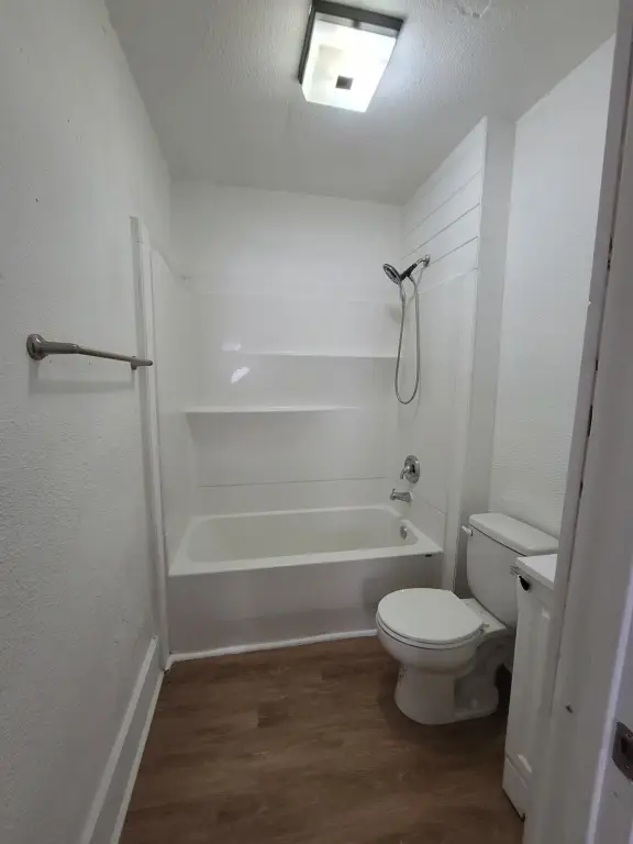 Picture 3
