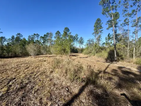 209 Acres Vacant Land, Millry