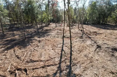 Cleared Land in Archer, Florida