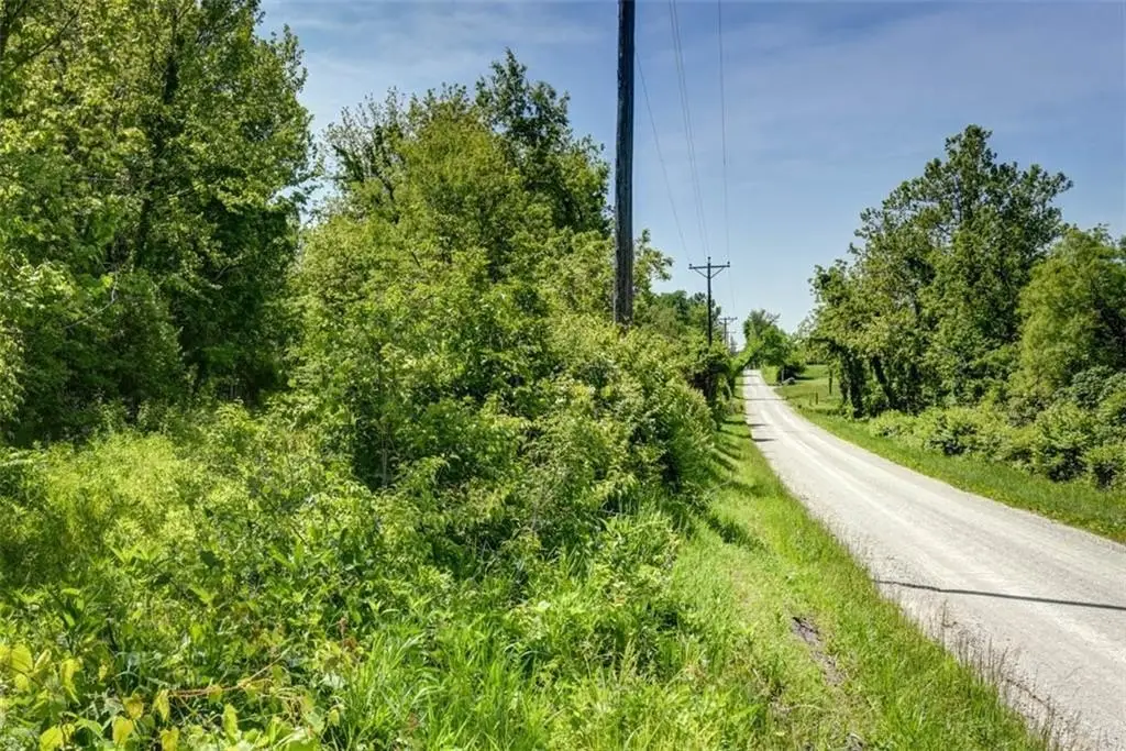 Picture 20