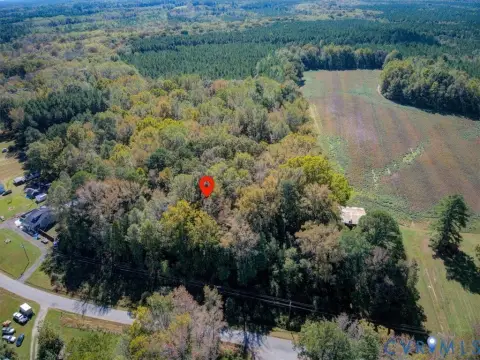 Buildable Homesite Among Mature Trees