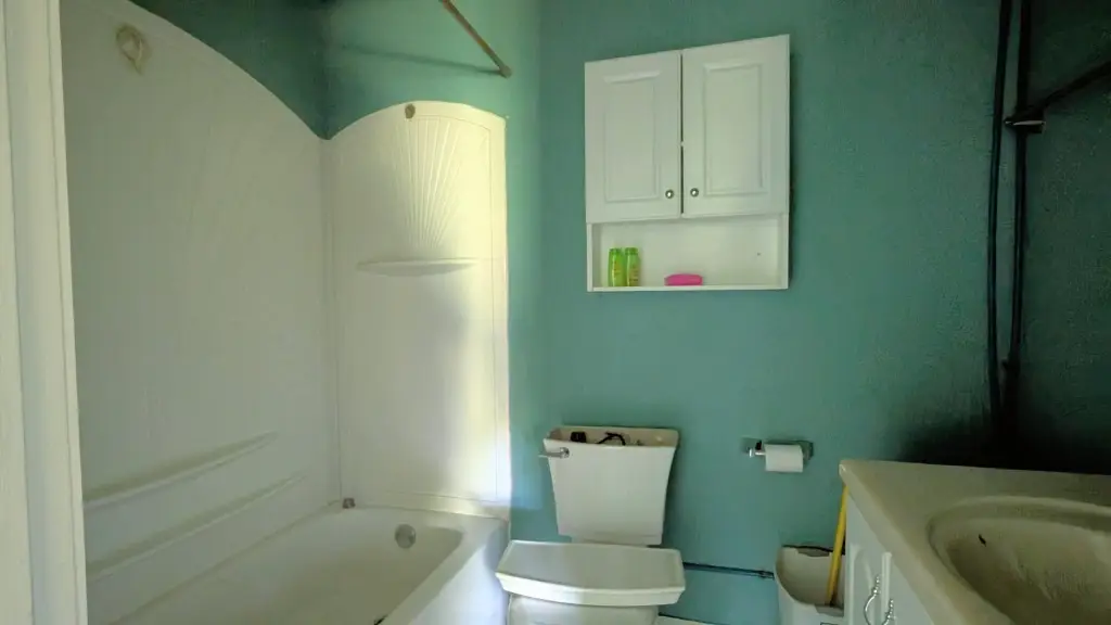 Picture 18