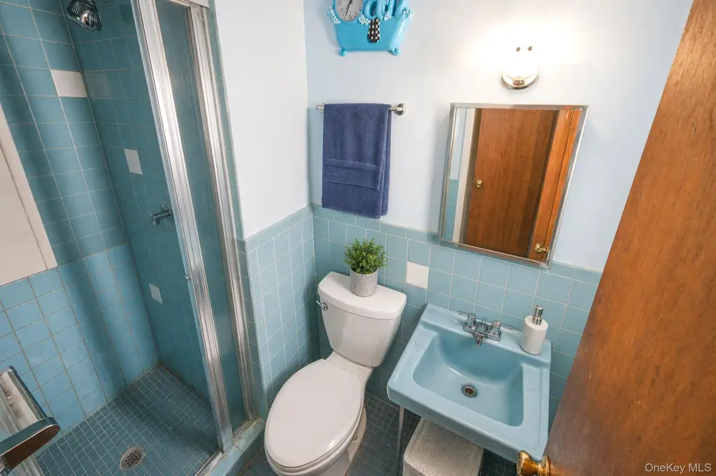 Picture 15