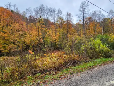 Mountain Property Near Tackett Creek