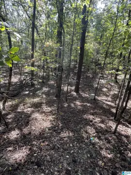 BESSEMER Acreage with Well