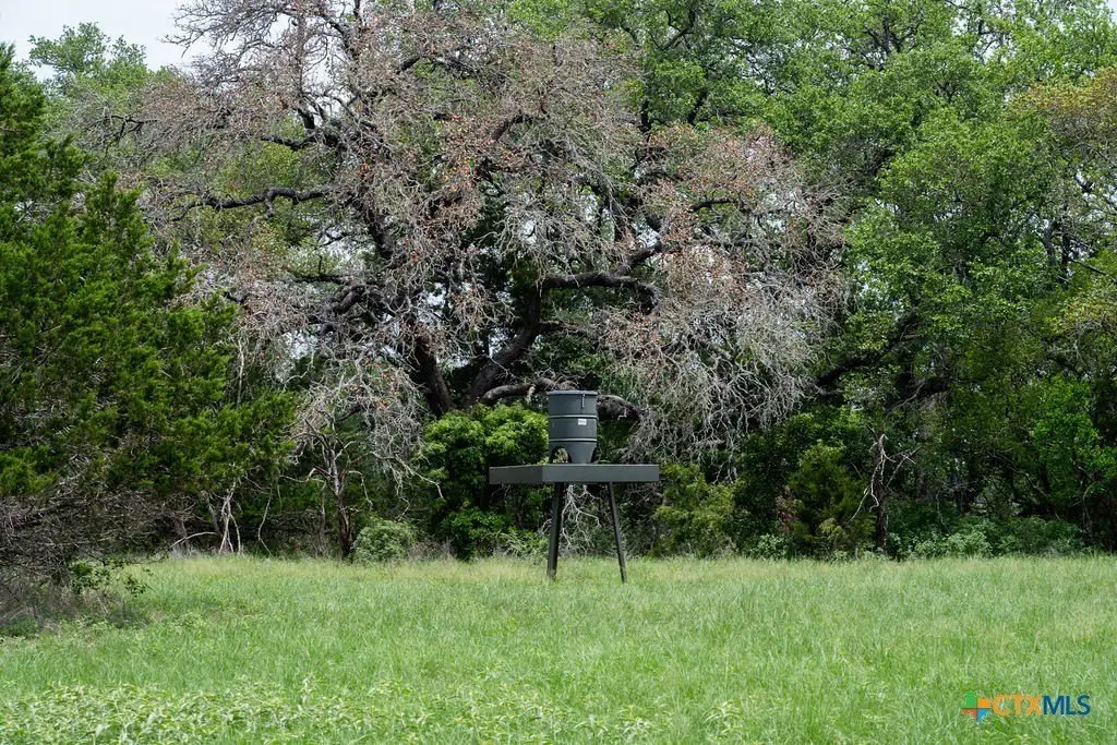 Picture 14