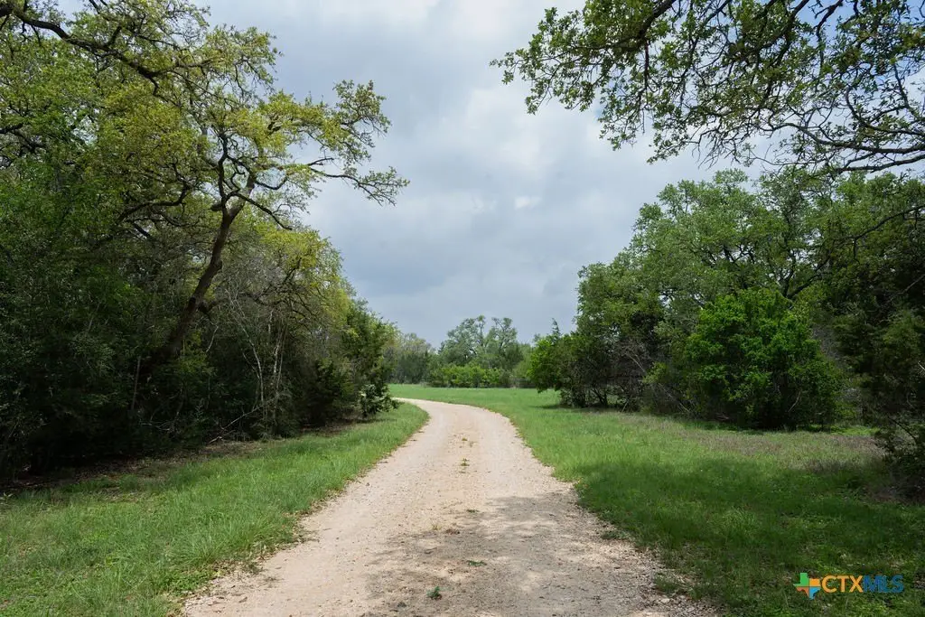 Picture 18