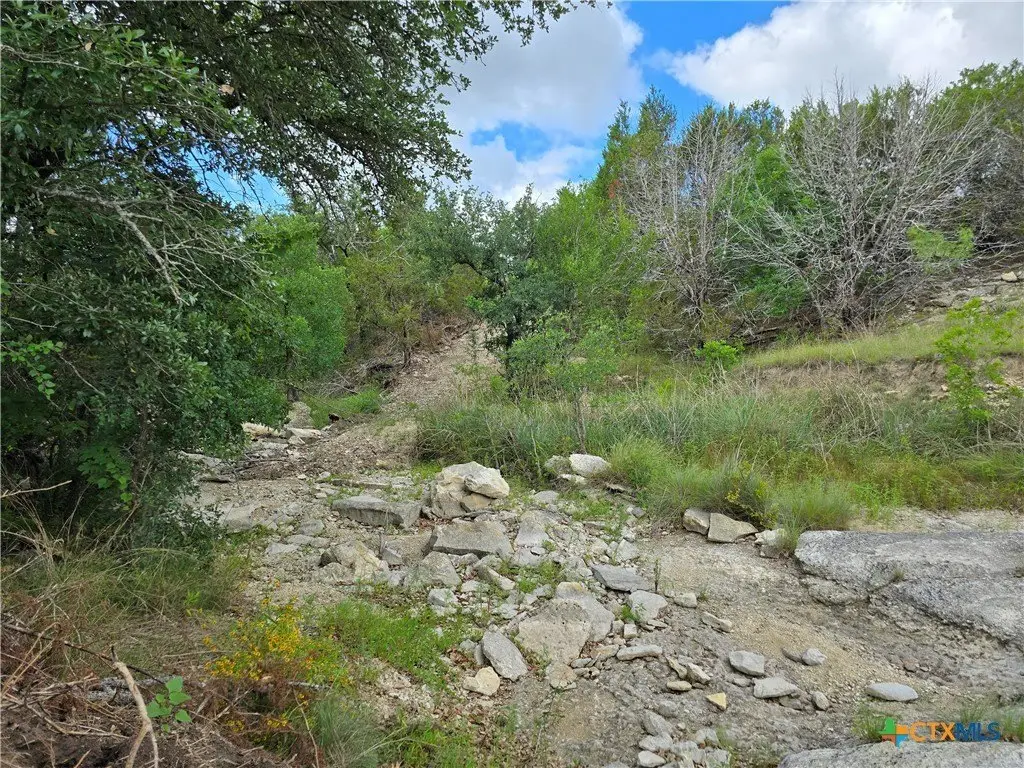 Picture 25
