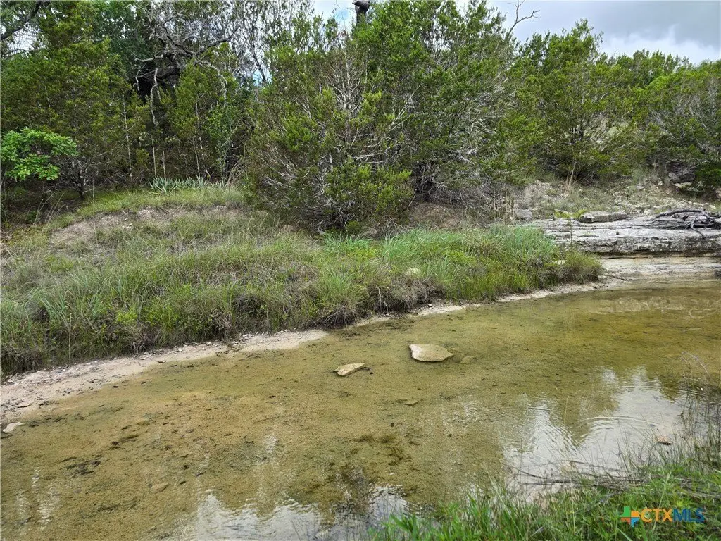 Picture 26