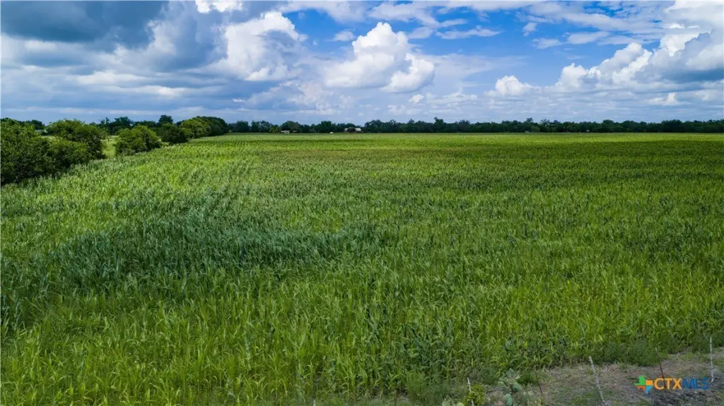 Picture 33