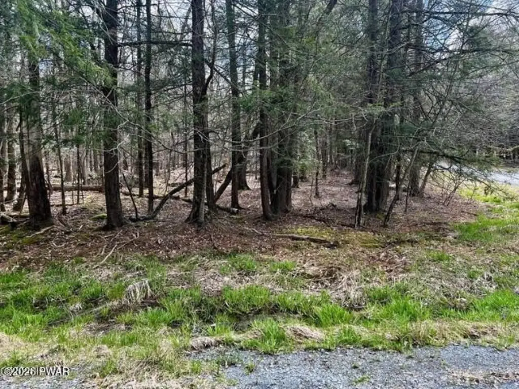 Picture 15