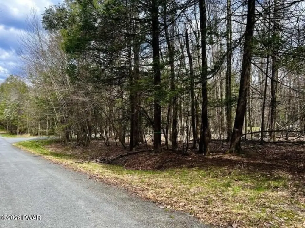 Picture 11