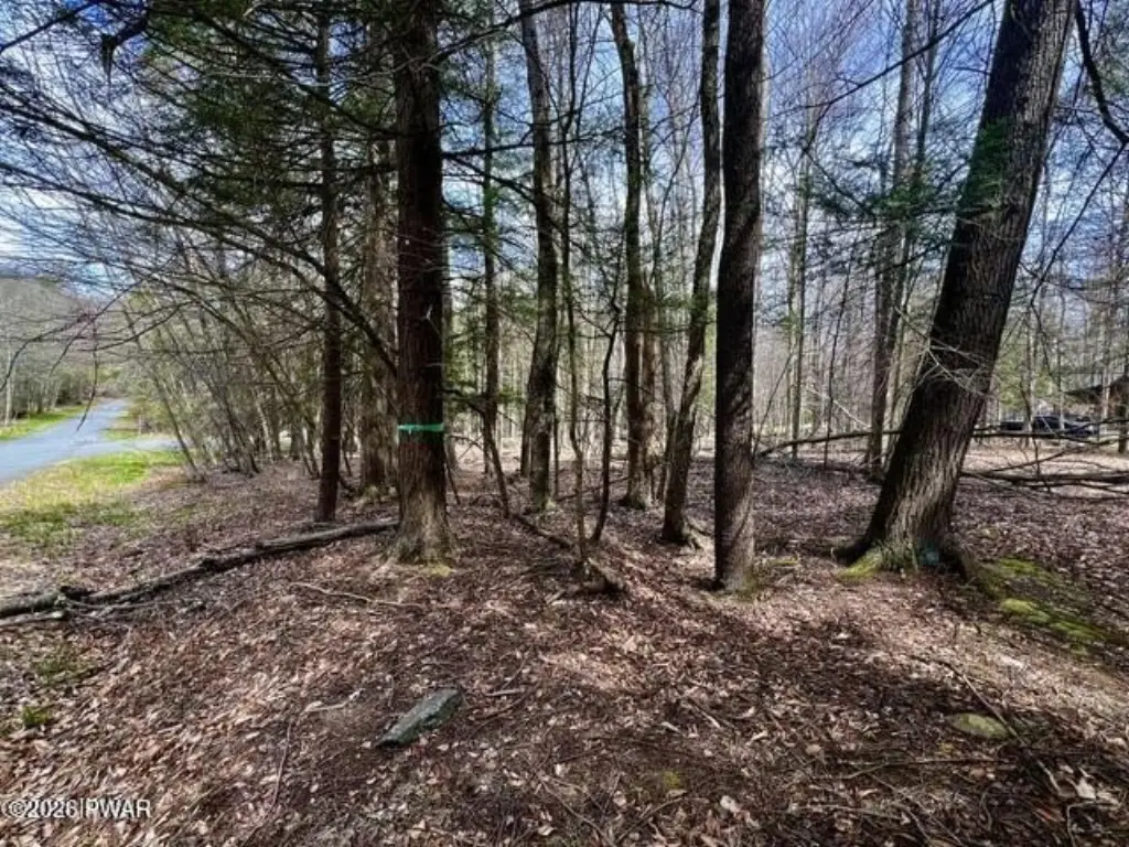 Picture 14