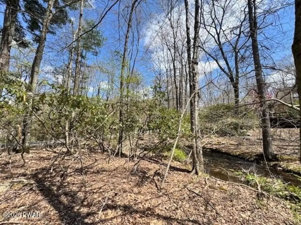 Picture 8