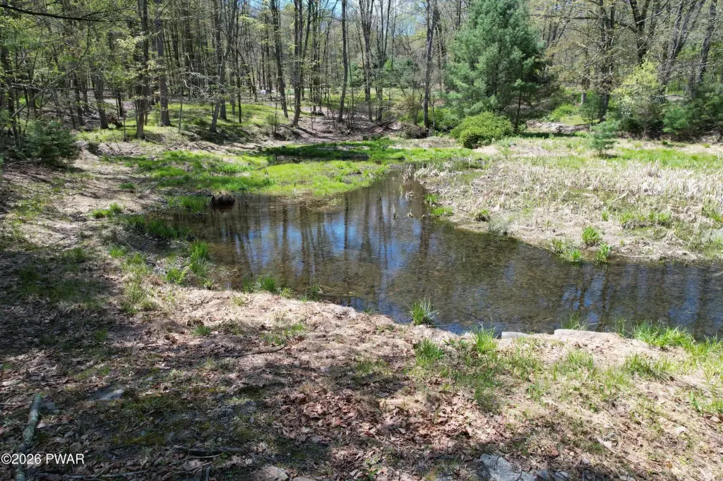 Picture 8