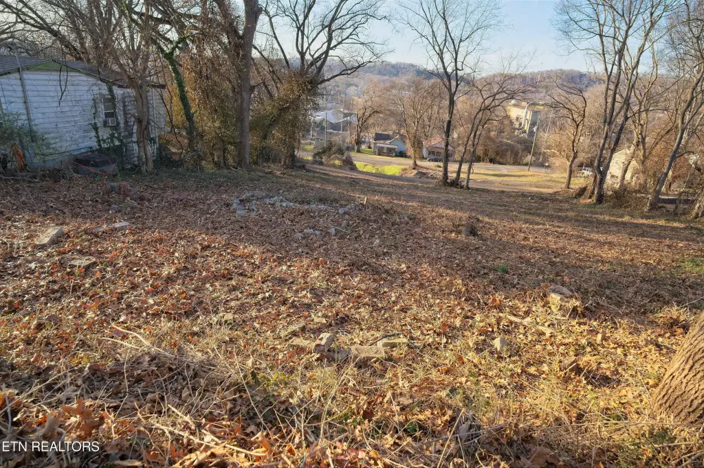 Picture 10